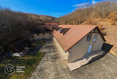 Proprietate pretabila pentru afacere, Cladova - 20