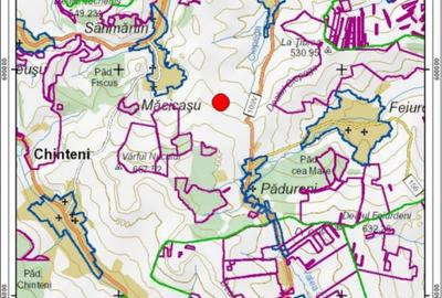 Teren in Padureni - Chinteni, 5800 mp, intravilan, Lv1 - viitoare constructii - 5