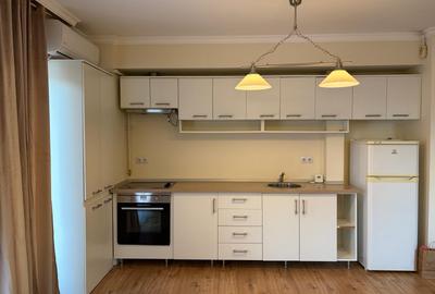 Inchiriere Apartament 2 Camere Iancu Nicolae - 10