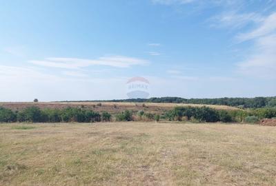 Teren Construcții intravilan de 2136 mp, în Grădiștea