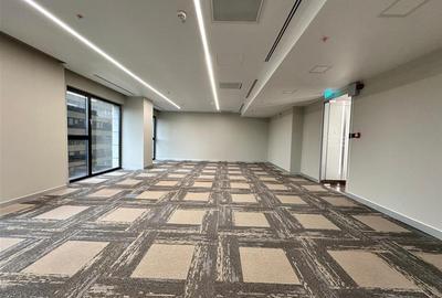 Spatiu birouri premium, 117mp, centru, zona Palas - 18