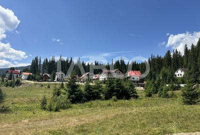 Cabana spatioasa la 5 km de Partia Sureanu complet utilata - 23