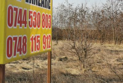 Teren la strada la Hudum-Baisa pretabil afacere - 1