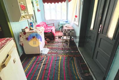 CASA traditionala BICAZU ARDELEAN + teren extravilan 1,6 hectare - 7