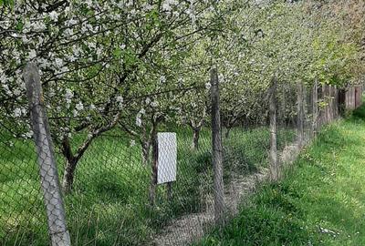 Teren intravilan in Zaicesti zona Conacului cu latura de padure - 3