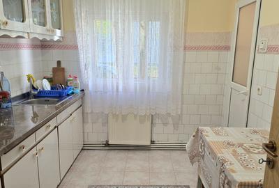 Vand apartament 3 camere decomandat in Deva, zona Enescu, parter inalt, mobilat - 9