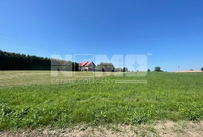 Teren Intravilan 2.462 mp – Ideal pentru Construcție sau Investiție - 3