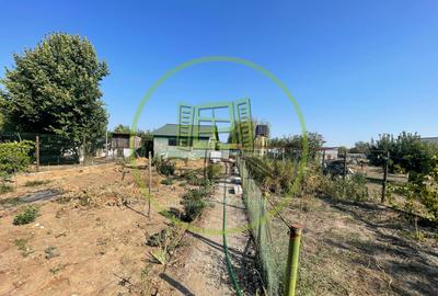 Casă P+M cu teren de 1068mp in Pielesti, langa reprezentanta Peugeot - 12