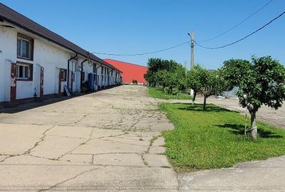 Oportunitate de investiții la km 70 Autostrada Bucuresti-Pitesti! - 7