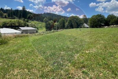 Teren 4397 mp Intravilan  Manastirea Humorului / Lunga Bucovina - 7