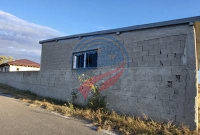 Hala Depozit si curte Malu Mare - 2