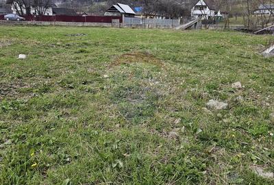 Teren 1,520mp Hangu / Strada Principala - 1