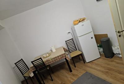 3 camere Banat , RENOVAT Decomandat / Centrală , preț NEGOCIABIL - 7