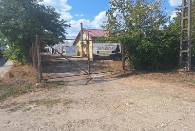 Vând teren intravilan 10.000mp +casa+anexe(spatii prodictie-depozitare) - 10