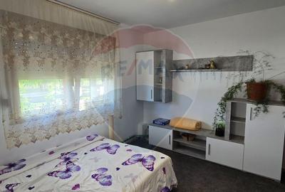 Casa cu mansarda in MIȘCA  jud Arad - 28