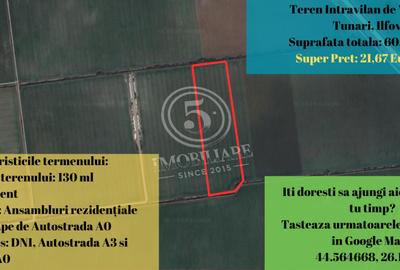 Tunari- Teren Intravilan de Vanzare- 21,67 Euro/mp - 1