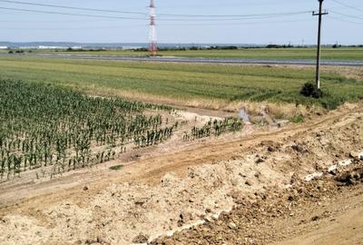Teren Oarja de 8 400 mp, langa Pasarela A1, 5,5 euro/mp la Pretul 46 200 Euro. - 8