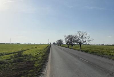 Teren Construcții intravilan de 25000 mp, în Agigea