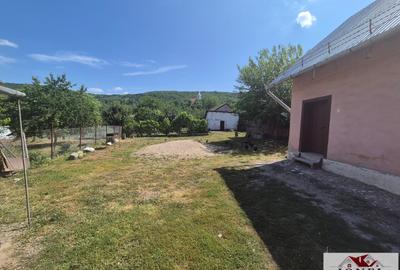 Vanzare casa in Santimbru,- Dumitra -1100 mp teren - 10