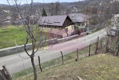 Teren intravilan 800 mp de vanzare in Lunca Mare - 5