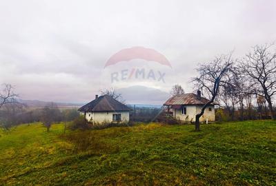 Teren Construcții intravilan de 4627 mp, în Unguraș