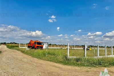 Teren 64 de parcele de vanzare /  Teren de investitie / Frumusani / Calarasi - 3