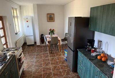Casa Grigorescu aproape  de restaurantul Desaga - 14