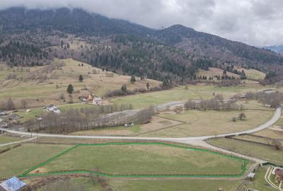 Teren intravilan, 6.900 mp, construibil – Plaiul Foii, Zărnești - 2