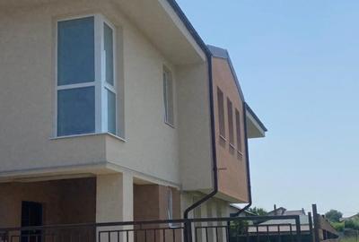 Vila deosebita P+1+Pod,Comuna Berceni - 4