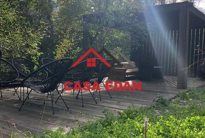 Teren extravilan in Brebu(Pietriceaua)--9104mp--50.000e - 2