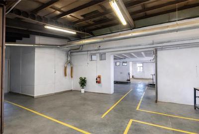 Parc industrial modernizat, acces bilateral, potential remarcabil, Sfantu Gheorg - 14