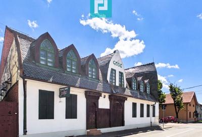 Pensiune 18 Camere cu Restaurant - Cetatea Oradea - 28