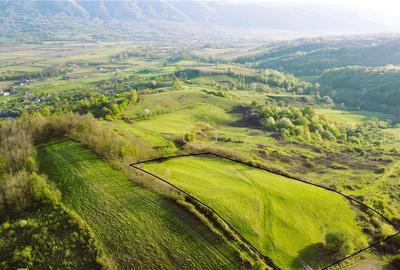 Teren de 9.500 mp in Maramures | Varf de deal, priveliste de pus in rama | Retre - 2
