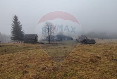 Teren INTRAVILAN 23.238m.p. Dorna-Arini / Cozănești - 7