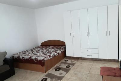Colentina, Doamna Ghica, Parc Plumbuita, semistradal - 4