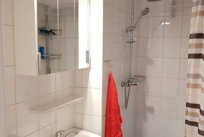 Apartament superb de închiriat – Strada Lăpușneanu - 10