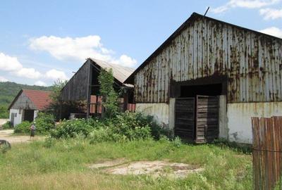 Teren agricol intravilan de 12579 mp, în Șopotu Vechi