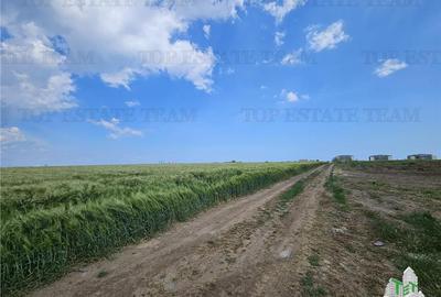 TEREN INTRAVILAN 50000 MP AGIGEA ZONA RO RO - 9