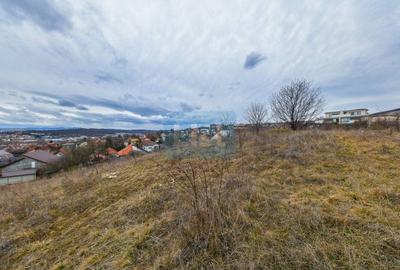 COMISION 0%! Teren constructii 3400 mp, panorama, Dambul Rotund - 6