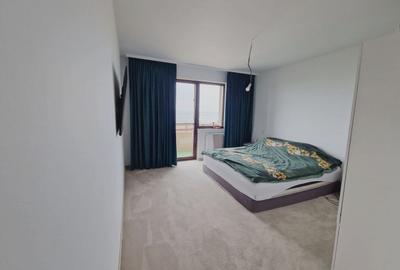 Casa tip duplex finisata, teren 380 mp, Dezmir zona str Criseni - 32