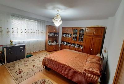 Casa moderna, foarte spatioasa, cu  1500 mp teren, în  Dambul Rotund - 9