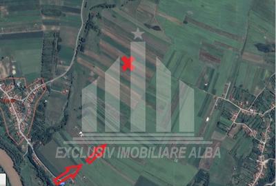 Teren extravilan | Agricol | 8000 mp | 14 ml deschidere | Limba - 3