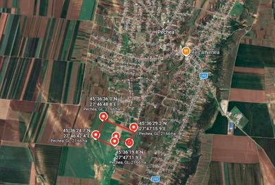 21,66 Ha Teren Compact – Pechea (Galați) – Potențial Energetic & Agricol - 3