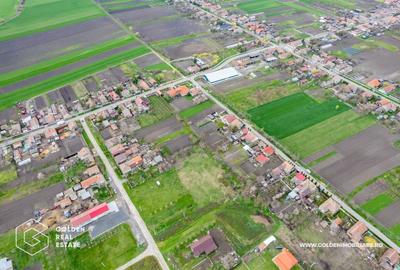 Teren intravilan, localitatea Dorobanți, 2097 mp - 9