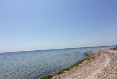 Teren 5000mp in Costinesti PRIMUL RAND la MARE cu Autorizatie Constructii Resort - 7