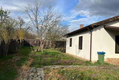Casa individuala superba. Teren generos. Disponibila imediat. - 2