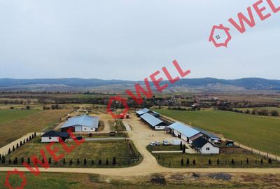 Ferma complet echipată de 22 de hectare de vânzare în Zoltan! - 3