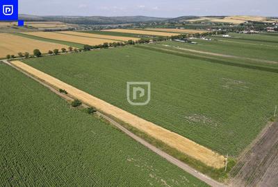 Teren - Orășeni Deal, Curtești | BOTOȘANI | 10.000mp - 5