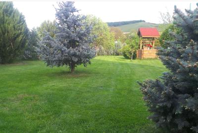De vanzare  teren intravila 673 mp,  în vatra satului, cu casa veche démolabIla - 2
