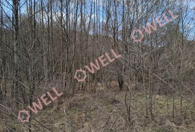 🏡 Teren de vânzare în Sovata – Strada Stâna de Vale - 2